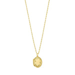 Sterling Silver Gold Plated Oval Vine Locket Necklace