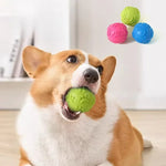 Pet Toys With Bite Resistance, Grinding Teeth, Sound Making Footprints, Dog Toys, Pet Supplies