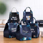 Kids Lunch Bag for School Portable Thermal Bag Children Cartoon Insulated Lunch Bag.