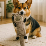 Pet Training Toy - Durable Chew Resistant Squeaky Plush Toy for Dogs Puppies, Interactive Molar Teething Supplies