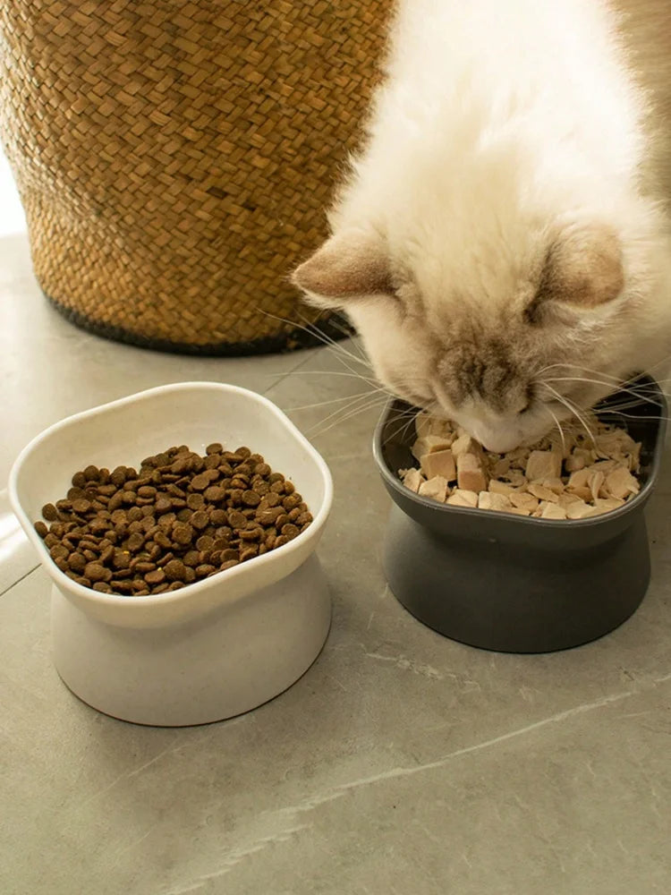 Pet bowl, water and food feeder, for cat and small dog