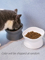 Pet bowl, water and food feeder, for cat and small dog