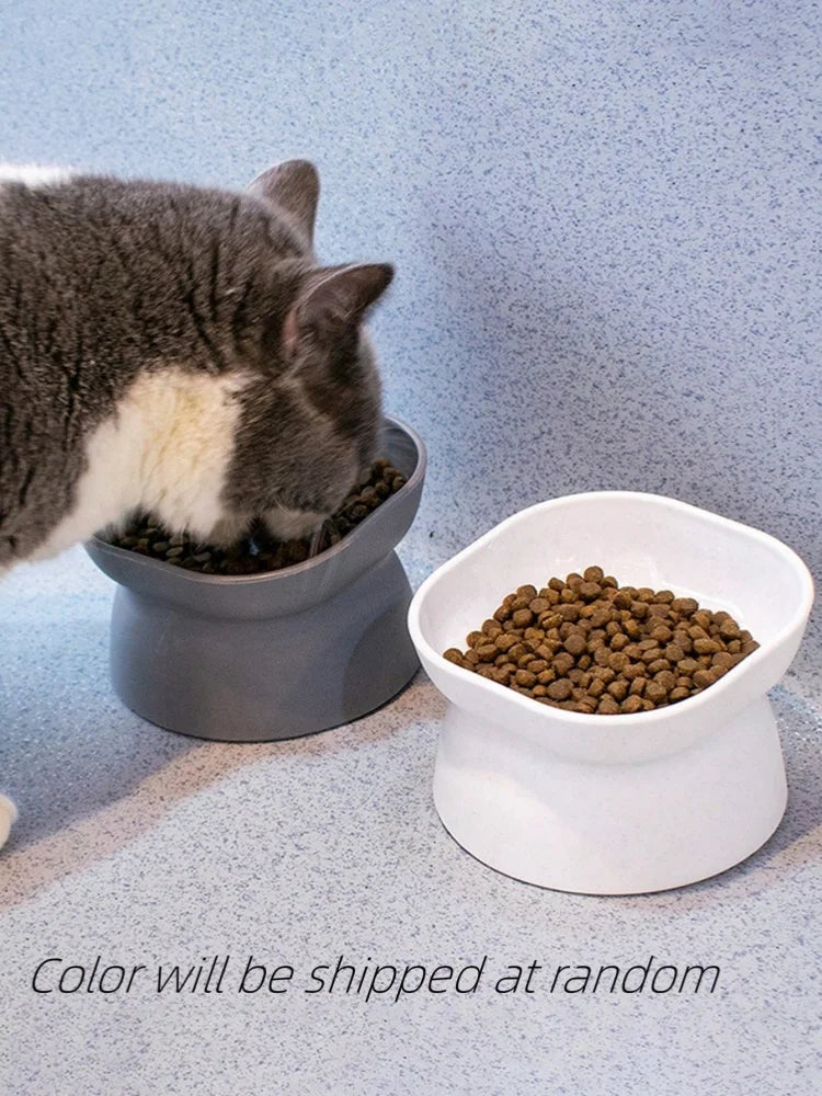 Pet bowl, water and food feeder, for cat and small dog