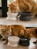 Pet bowl, water and food feeder, for cat and small dog