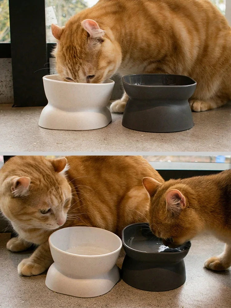 Pet bowl, water and food feeder, for cat and small dog